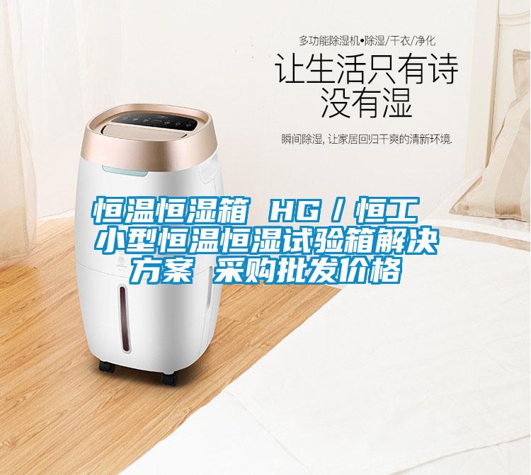 恒溫恒濕箱 HG／恒工 小型恒溫恒濕試驗(yàn)箱解決方案 采購批發(fā)價格