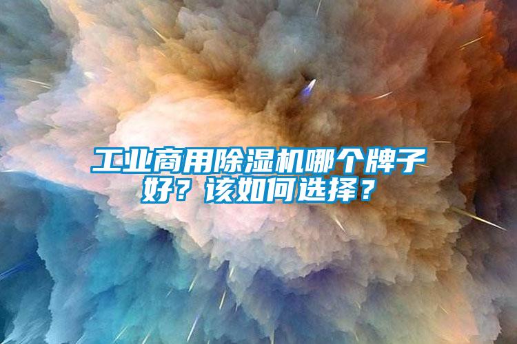 工業(yè)商用除濕機哪個牌子好？該如何選擇？