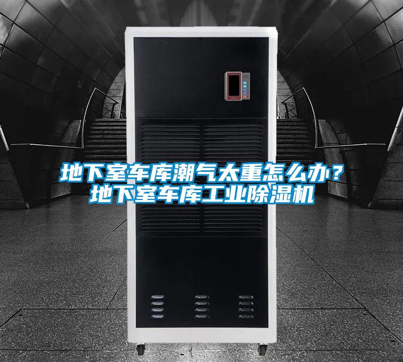 地下室車庫潮氣太重怎么辦？地下室車庫工業(yè)除濕機(jī)