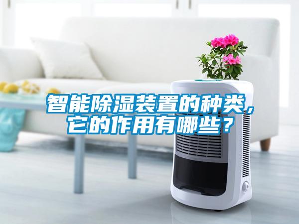 智能除濕裝置的種類，它的作用有哪些？