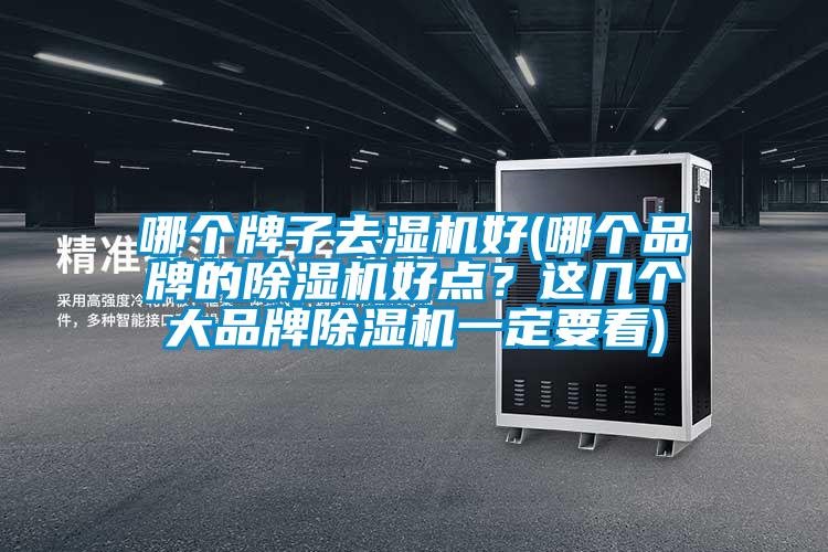 哪個(gè)牌子去濕機(jī)好(哪個(gè)品牌的除濕機(jī)好點(diǎn)？這幾個(gè)大品牌除濕機(jī)一定要看)