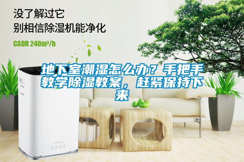 地下室潮濕怎么辦？手把手教學(xué)除濕教案，趕緊保持下來