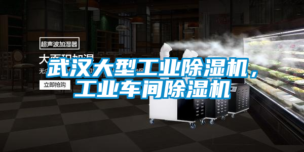 武漢大型工業(yè)除濕機(jī)，工業(yè)車(chē)間除濕機(jī)