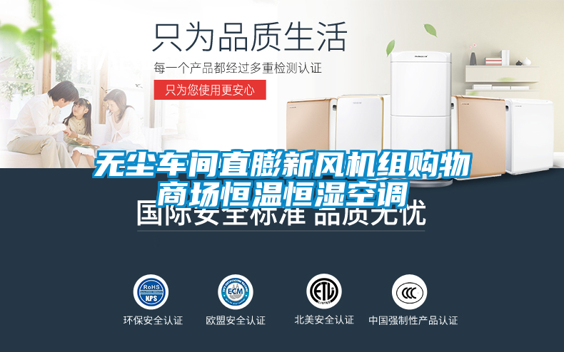無塵車間直膨新風機組購物商場恒溫恒濕空調(diào)