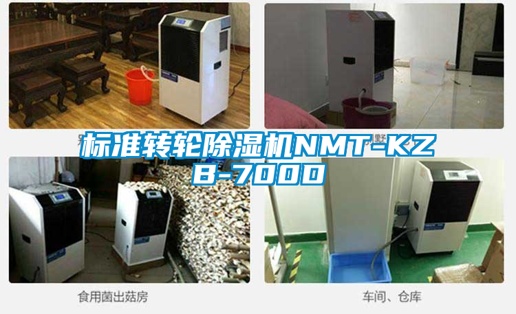 標準轉(zhuǎn)輪除濕機NMT-KZB-700D