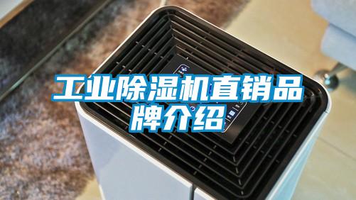 工業(yè)除濕機(jī)直銷(xiāo)品牌介紹