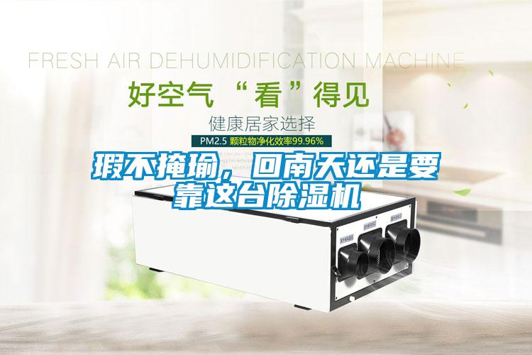 瑕不掩瑜，回南天還是要靠這臺除濕機