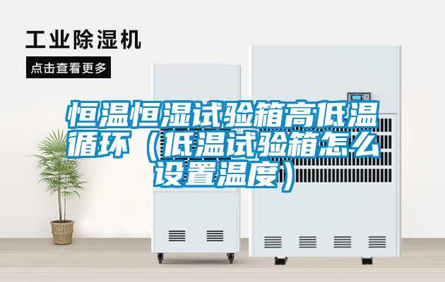 恒溫恒濕試驗箱高低溫循環(huán)（低溫試驗箱怎么設置溫度）