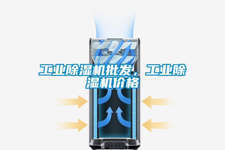 工業(yè)除濕機批發(fā)，工業(yè)除濕機價格