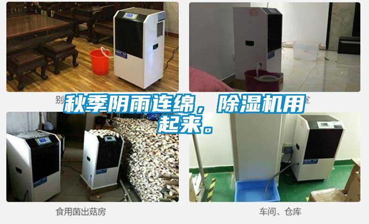 秋季陰雨連綿，除濕機(jī)用起來。
