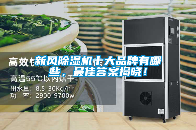 新風(fēng)除濕機(jī)十大品牌有哪些，最佳答案揭曉！