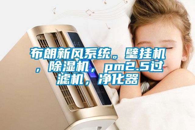 布朗新風(fēng)系統(tǒng)。壁掛機，除濕機，pm2.5過濾機，凈化器