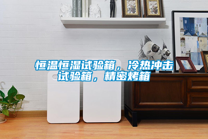 恒溫恒濕試驗(yàn)箱，冷熱沖擊試驗(yàn)箱，精密烤箱