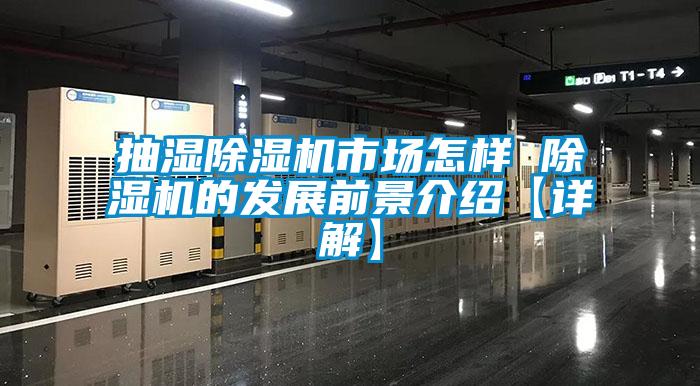 抽濕除濕機(jī)市場怎樣 除濕機(jī)的發(fā)展前景介紹【詳解】