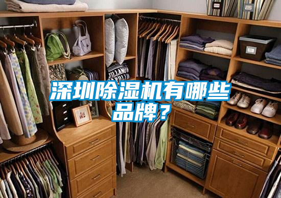 深圳除濕機有哪些品牌？