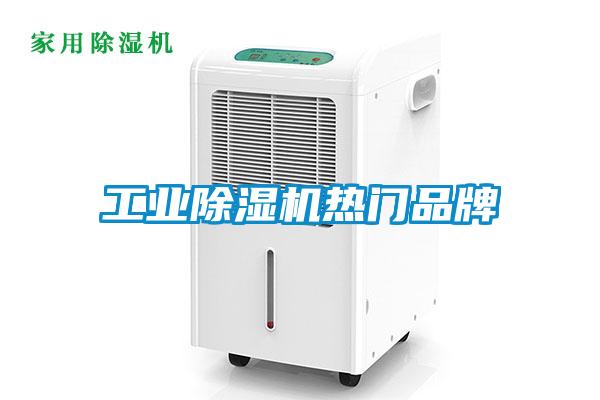 工業(yè)除濕機(jī)熱門(mén)品牌