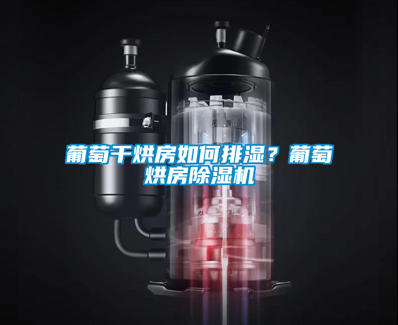 葡萄干烘房如何排濕？葡萄烘房除濕機(jī)