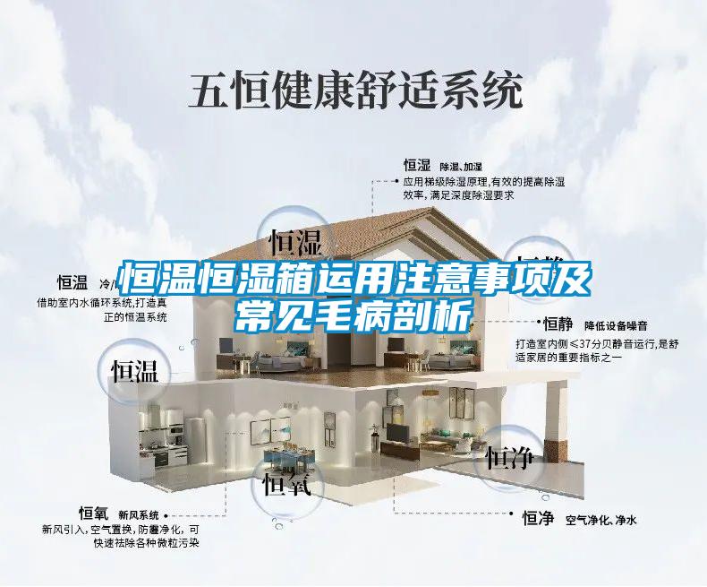 恒溫恒濕箱運(yùn)用注意事項(xiàng)及常見(jiàn)毛病剖析