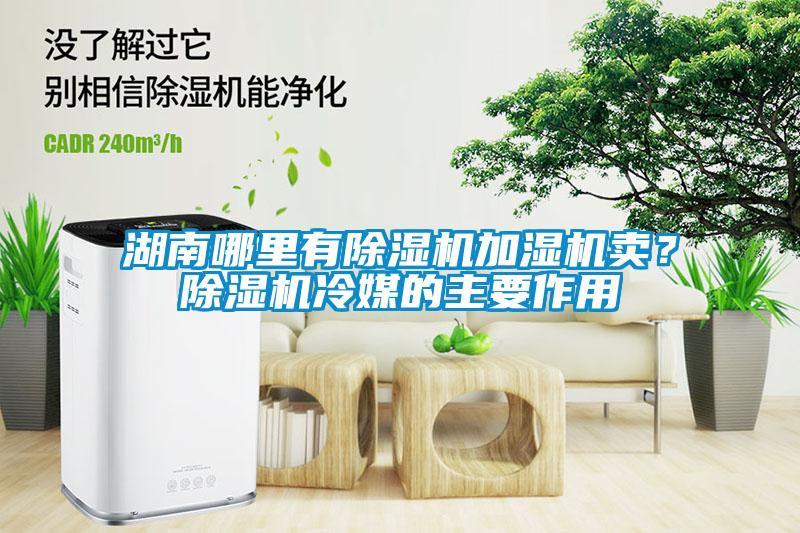 湖南哪里有除濕機(jī)加濕機(jī)賣？除濕機(jī)冷媒的主要作用