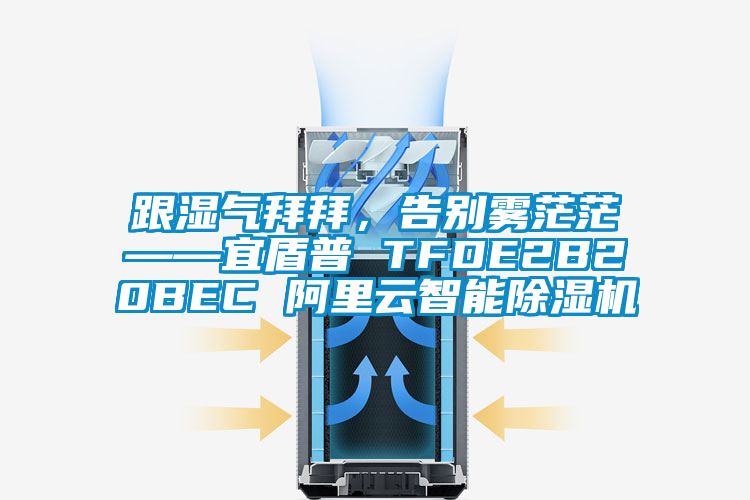 跟濕氣拜拜，告別霧茫茫——宜盾普 TFDE2B20BEC 阿里云智能除濕機(jī)