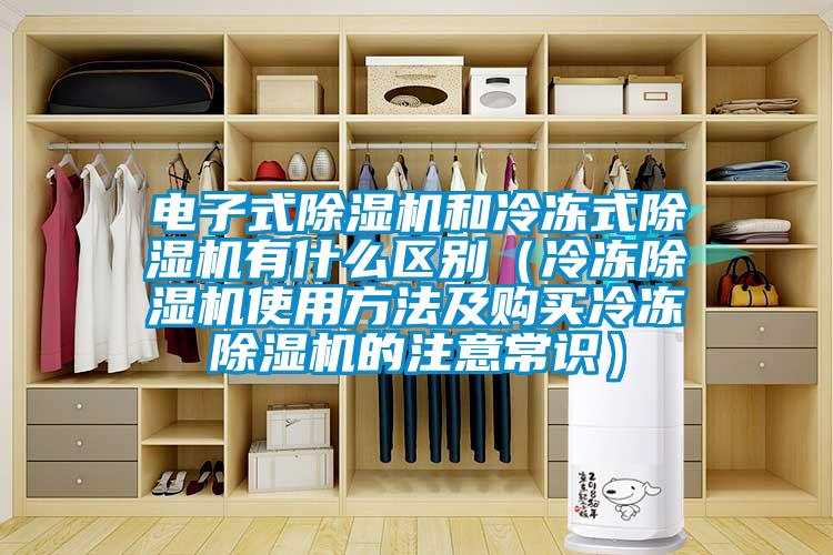 電子式除濕機(jī)和冷凍式除濕機(jī)有什么區(qū)別（冷凍除濕機(jī)使用方法及購(gòu)買冷凍除濕機(jī)的注意常識(shí)）