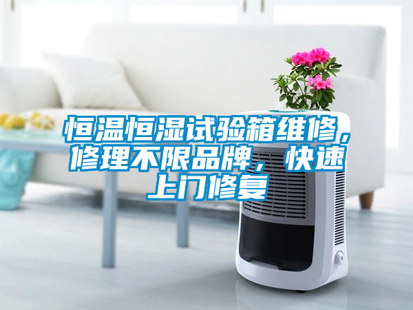 恒溫恒濕試驗箱維修，修理不限品牌，快速上門修復