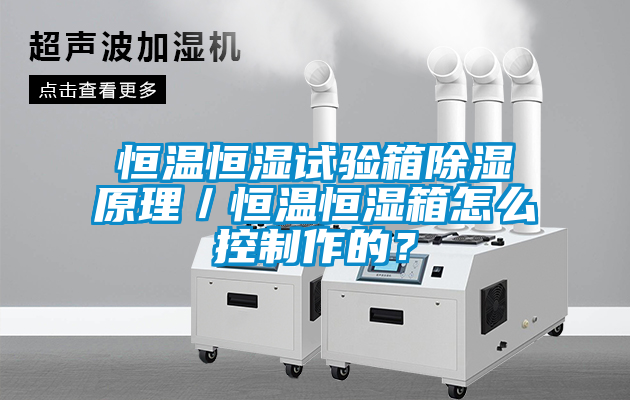 恒溫恒濕試驗(yàn)箱除濕原理／恒溫恒濕箱怎么控制作的？