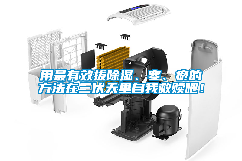 用最有效拔除濕、寒、瘀的方法在三伏天里自我救贖吧！