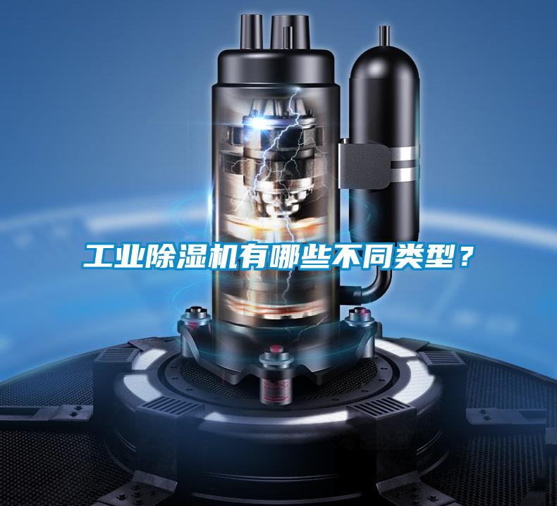 工業(yè)除濕機有哪些不同類型？