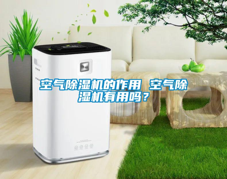 空氣除濕機(jī)的作用 空氣除濕機(jī)有用嗎？
