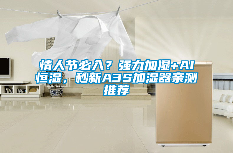 情人節(jié)必入？強力加濕+AI恒濕，秒新A3S加濕器親測推薦