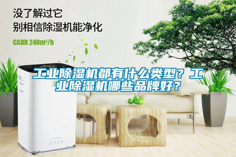 工業(yè)除濕機(jī)都有什么類型？工業(yè)除濕機(jī)哪些品牌好？
