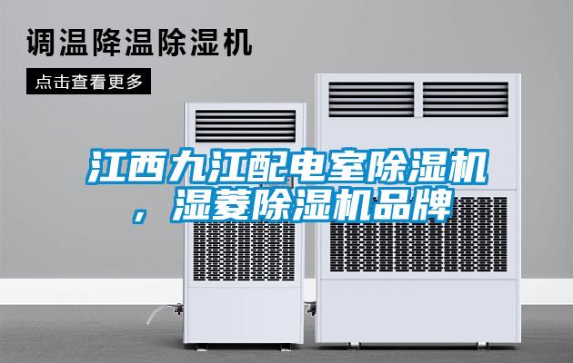 江西九江配電室除濕機(jī)，濕菱除濕機(jī)品牌