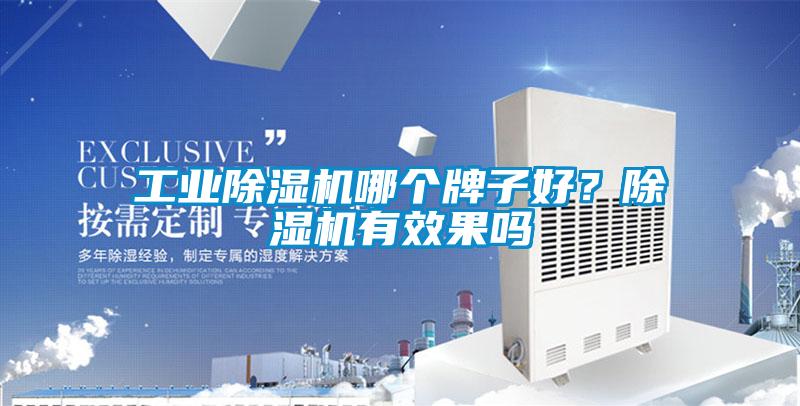 工業(yè)除濕機(jī)哪個(gè)牌子好？除濕機(jī)有效果嗎
