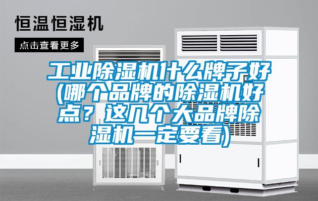 工業(yè)除濕機(jī)什么牌子好(哪個品牌的除濕機(jī)好點？這幾個大品牌除濕機(jī)一定要看)