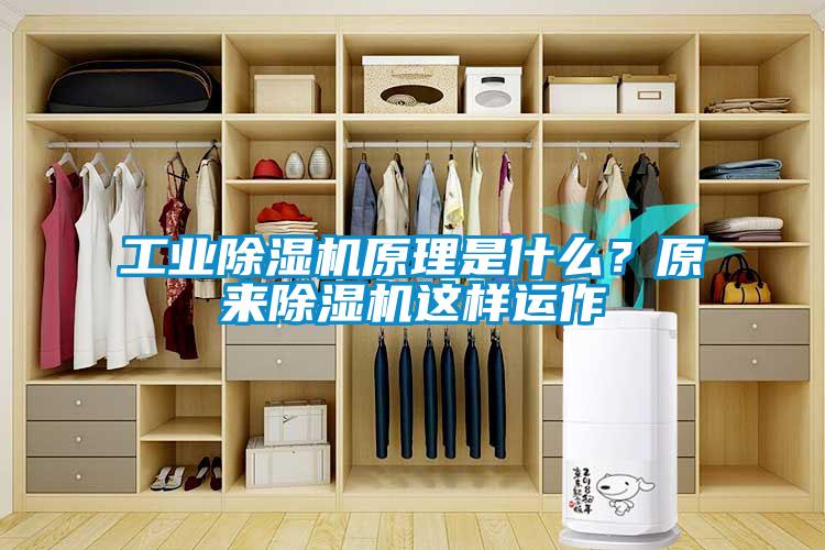 工業(yè)除濕機原理是什么？原來除濕機這樣運作