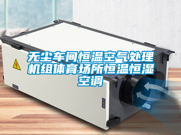 無塵車間恒溫空氣處理機(jī)組體育場所恒溫恒濕空調(diào)