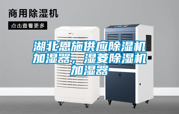 湖北恩施供應除濕機加濕器，濕菱除濕機加濕器