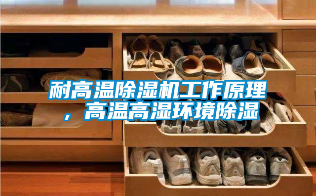 耐高溫除濕機(jī)工作原理，高溫高濕環(huán)境除濕