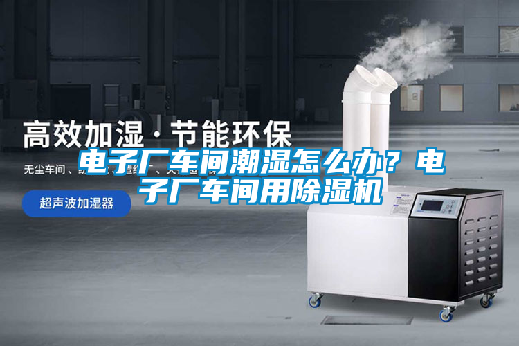 電子廠車間潮濕怎么辦？電子廠車間用除濕機(jī)