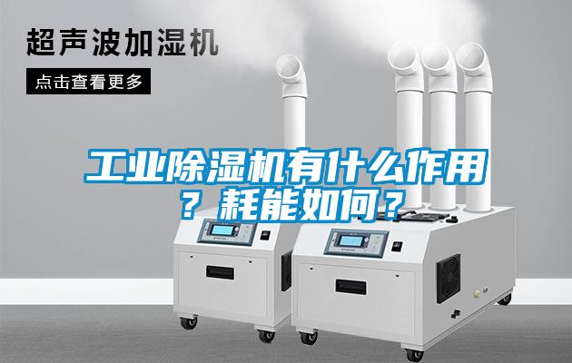 工業(yè)除濕機(jī)有什么作用？耗能如何？