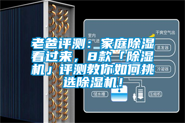 老爸評(píng)測(cè)：家庭除濕看過來，8款「除濕機(jī)」評(píng)測(cè)教你如何挑選除濕機(jī)！