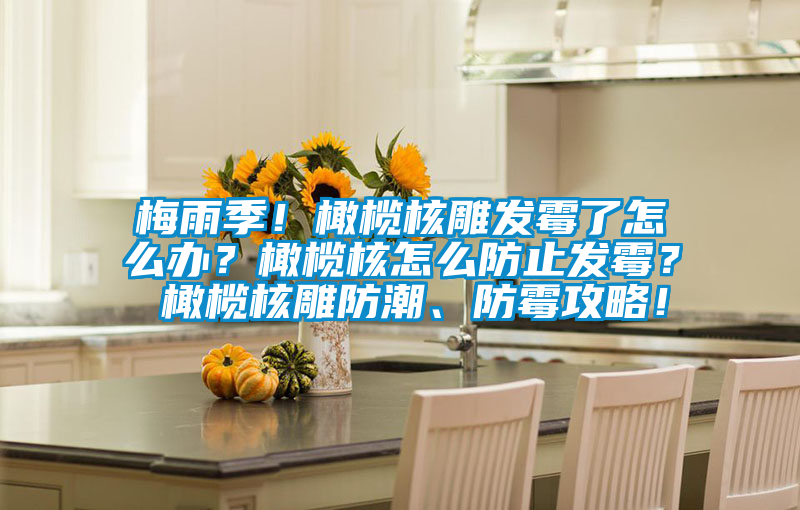 梅雨季！橄欖核雕發(fā)霉了怎么辦？橄欖核怎么防止發(fā)霉？ 橄欖核雕防潮、防霉攻略！