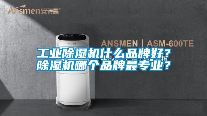 工業(yè)除濕機(jī)什么品牌好？除濕機(jī)哪個(gè)品牌最專(zhuān)業(yè)？