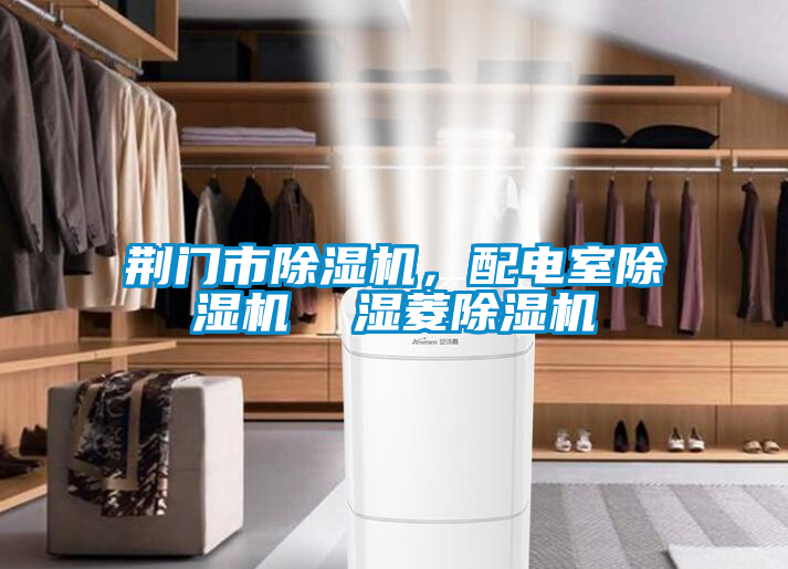 荊門市除濕機(jī)，配電室除濕機(jī)  濕菱除濕機(jī)