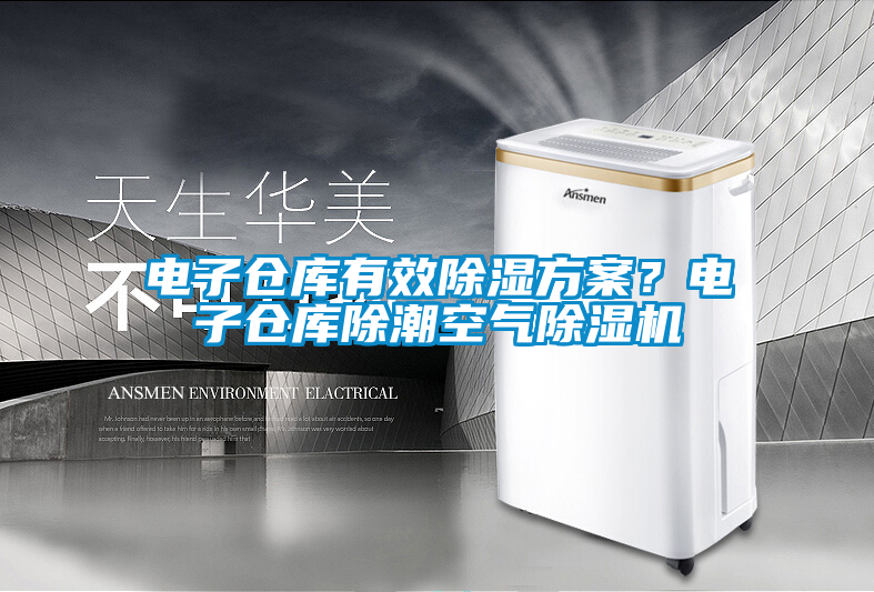 電子倉(cāng)庫(kù)有效除濕方案？電子倉(cāng)庫(kù)除潮空氣除濕機(jī)
