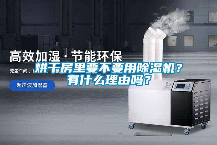 烘干房里要不要用除濕機(jī)？有什么理由嗎？
