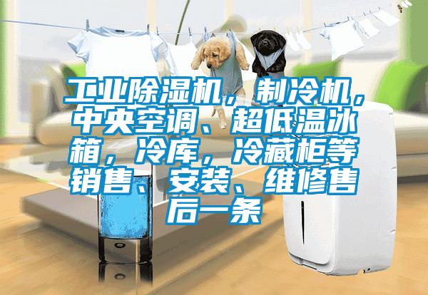 工業(yè)除濕機，制冷機，中央空調(diào)、超低溫冰箱，冷庫，冷藏柜等銷售、安裝、維修售后一條