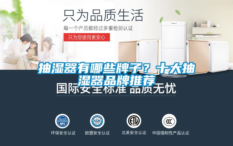 抽濕器有哪些牌子？十大抽濕器品牌推薦