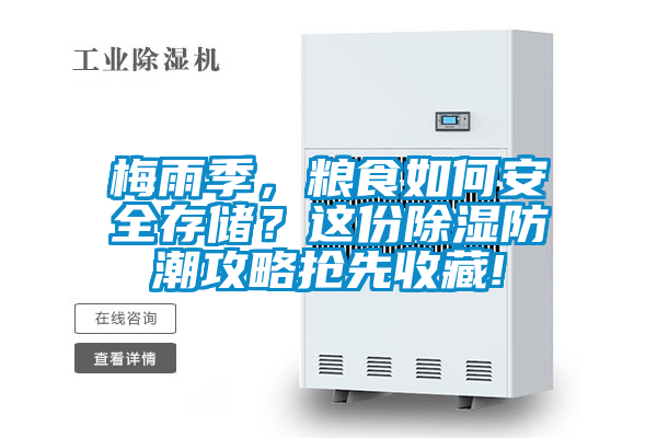 梅雨季，糧食如何安全存儲(chǔ)？這份除濕防潮攻略搶先收藏!